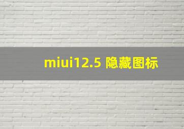 miui12.5 隐藏图标